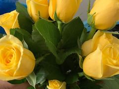 -循礼门鲜花花市(武汉循礼门店)