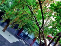 景观位-京兆尹(雍和宫店)