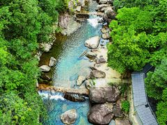 -天目山大树王景区