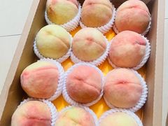 -老袁家蜜桃农场·阳山水蜜桃