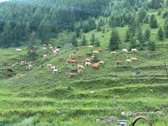 -云座·时光·观景咖啡厅(五爷庙店)