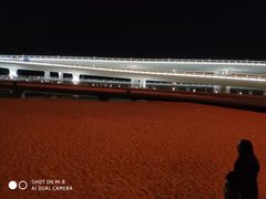 -演武大桥观景平台