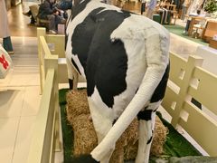 -红星前进面包牛奶公司(君太店)