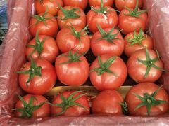 新鲜的番茄-众彩物流水产市场