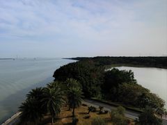 -大湾区中央湿地公园