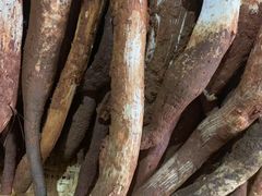 -野菌园·野生菌火锅首创第一家(关兴路总店)