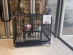-阿那亚第六食堂(文创街区店)
