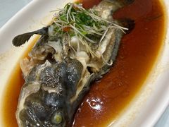 -老人和饭店(淮海中路店)