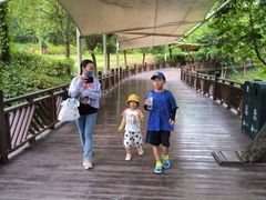 -泉州海丝野生动物世界