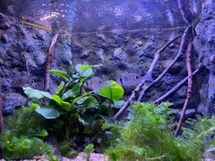 -上海海洋水族馆