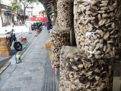 -清平中药材专业市场