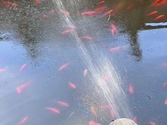 -红螺寺