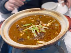 广东牛杂煲-粤·啫啫