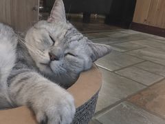 -隅cafe(傅厚岗店)