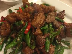 -金龙寨(解西店)