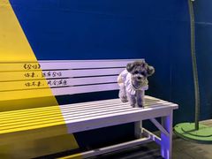 -雅达·阳羡溪山小镇中心