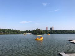 -番禺大夫山森林公园