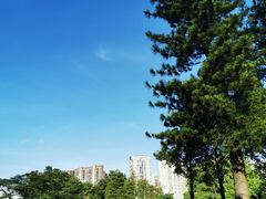 -四海公园(南山区)