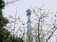 -莘庄梅园