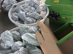 -马陆小张葡萄园农家乐