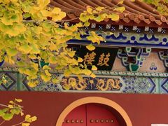 -遵化市禅林寺古银杏风景园