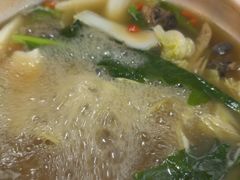 -蘑统田下·野生菌火锅