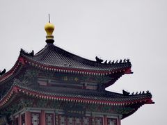 -合江楼