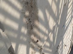 -西安大唐西市博物馆