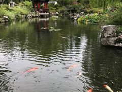 -杭州西湖柳莺里酒店