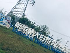 -芜湖新华联大白鲸海洋公园