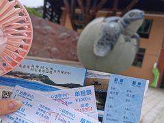 门票-广东惠东海龟国家级自然保护区