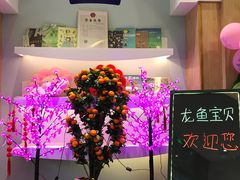 -黄浦乐烁龙鱼宝贝托育园(海潮路校区)