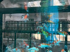 -辛玛王国游乐园