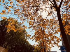 -杭州电子科技大学(下沙校区)