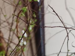 -川匠·睡眠采耳·SPA(九眼桥店)