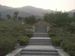 -紫云台香草园