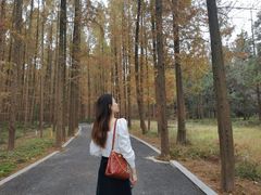 -东平国家森林公园