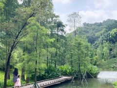 -云溪植物园