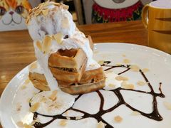 -more than meow吴止猫主题餐厅(承德 中船汇店)