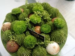 宇治抹茶小雏菊-小苍兰风铃草蛋糕甜品(沈阳店)