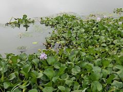 -池州市平天湖风景区