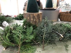 -森野花艺培训·企业团建活动沙龙