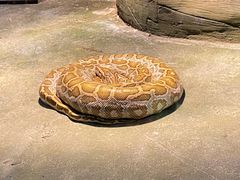 -西安秦岭野生动物园