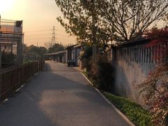 -菊园百果园