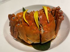-米桃-吴韵风雅·拙园(北外滩来福士店)