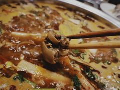 -菌海森林·非遗野生菌火锅(西山区滇池路摩根道店)