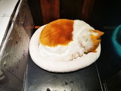 -半藏居酒屋(香港花园店)