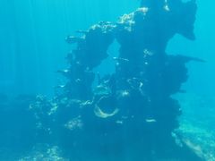 -海棠湾洲际-涛·海底餐厅·美人鱼·自助餐·海底隧道