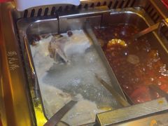 -蜀九鼎毛肚火锅(建瓯店)