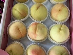 -南汇新场正宗水蜜桃采摘